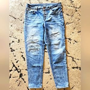 Maurices Jeans - 14 Reg